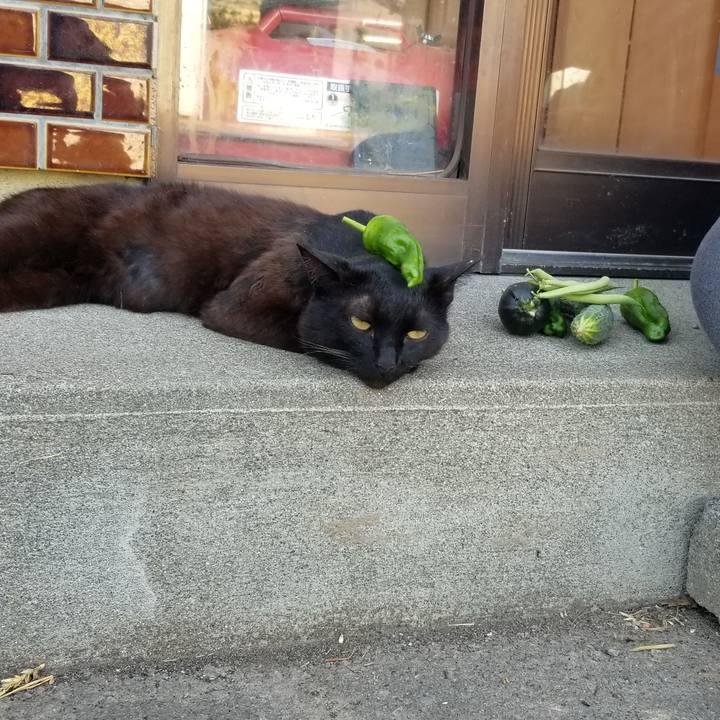 162e8613 50ea 41b0 b447 50b25a6818a9 1690980965637