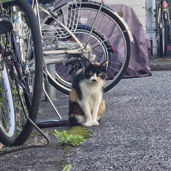 162eb61b 970a 4f44 a5dd 7adc8a32c76d 1718537709143