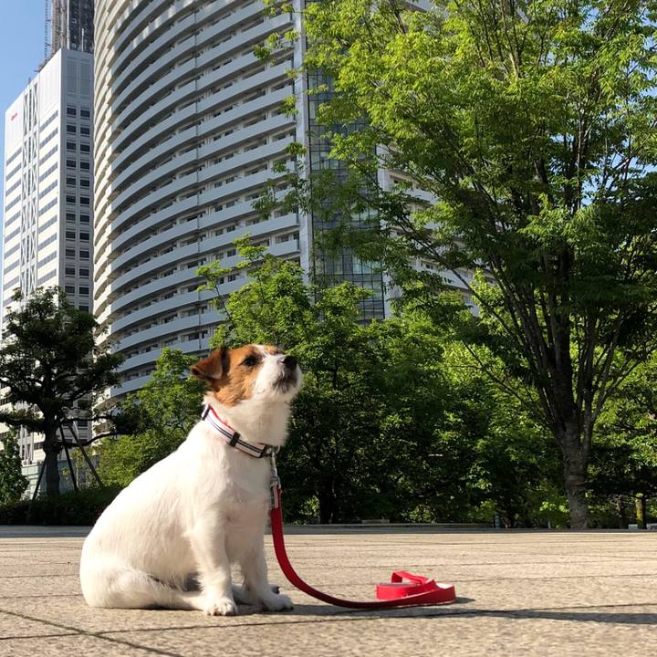 162ed8e2 74c4 4867 a313 7ca9adb92d65 1526563993657