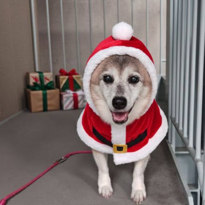 162eebf3 73bc 4da6 ac37 08638669fe43 1766565636092