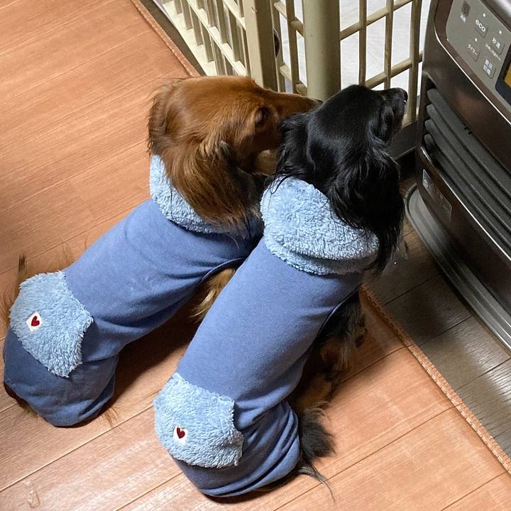 162f0db2 d080 4fb5 b4b2 5cfe9d56bcf0 1763715224796