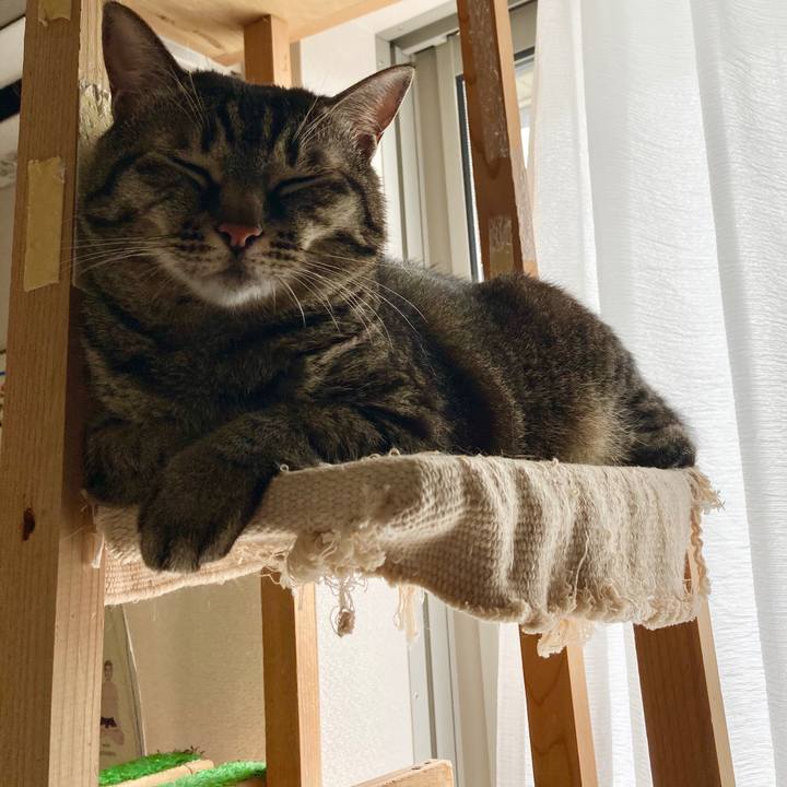 162f1f8b de40 4ad5 af38 0dc6d37fb6cb 1595208034089