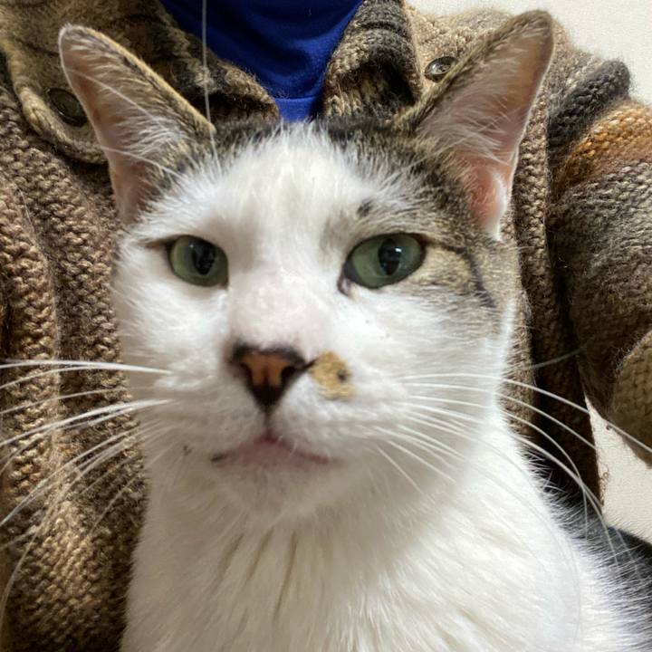 162f2b07 28d0 4fdf 8e4d 3ea5edf6aa52 1638109700531