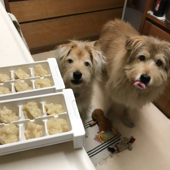 162f6fe4 3b14 48d6 8ce5 aa0f5b027fee 1548890135774