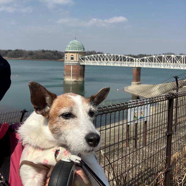 162fa0f8 d36c 4665 aa2c 742e8e1fe7ab 1710804169505