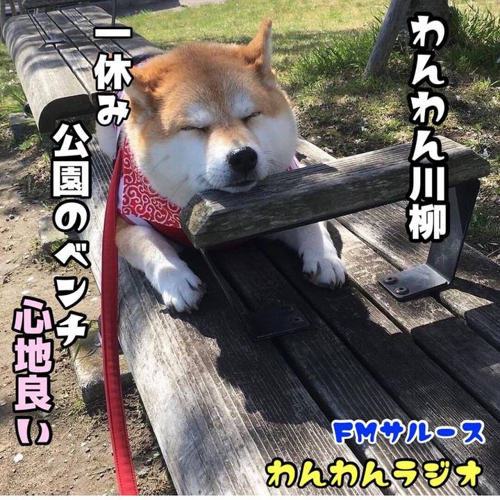 162fb8b7 b48f 42c6 a515 a48168ca9922 1652586932242