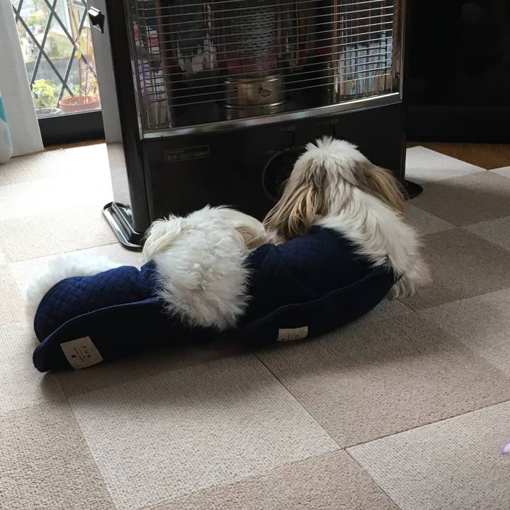 162fd298 a593 47af 8a78 601d4cece9c7 1638850681903