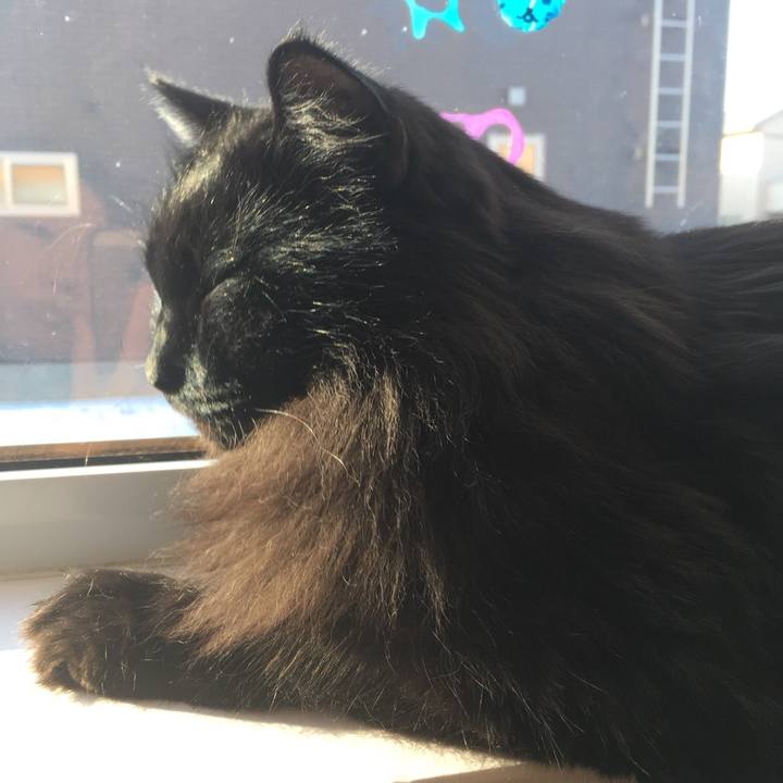 162ff7b0 593d 47c9 9548 4bc7a99fc893 1545785447260