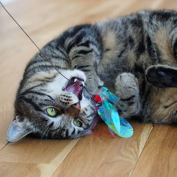 162ff8c8 9ec5 4ba9 b3a2 79d7a4ecc409 1557977846804