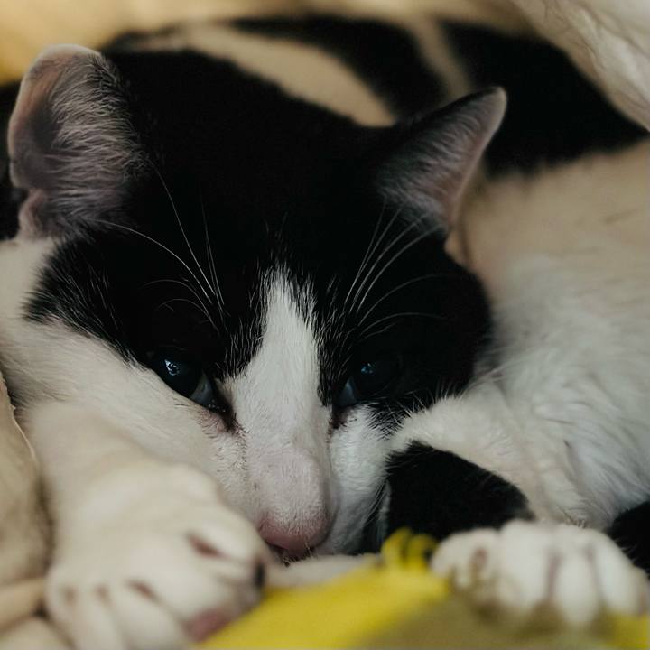 162fff1c 1178 4652 931a 08e400ea3050 1675474405394