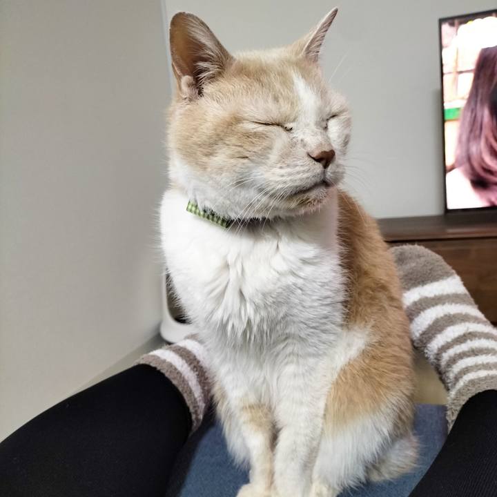 163000a3 b87a 40b3 9cc3 d96f866292fb 1704029795071