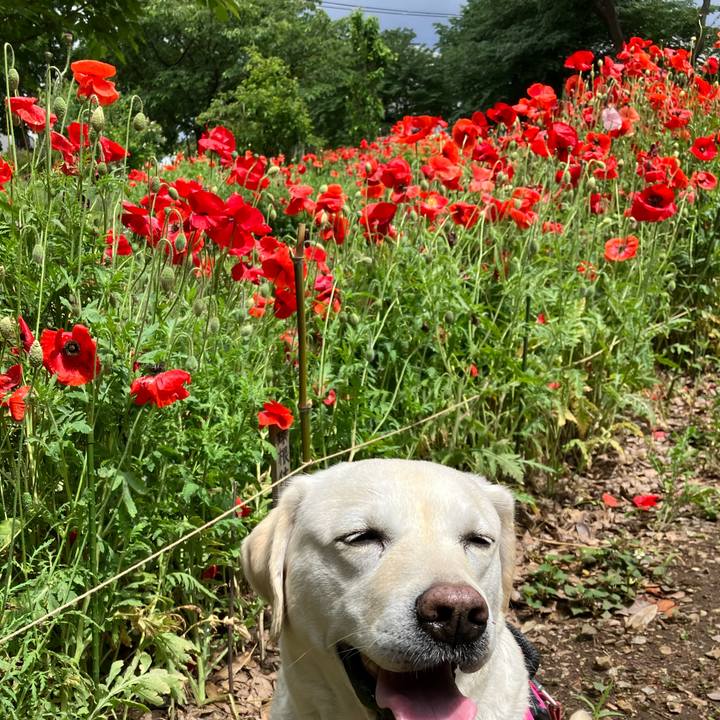 163000ff 2929 4e2c b116 7522b0d183d2 1684145914680