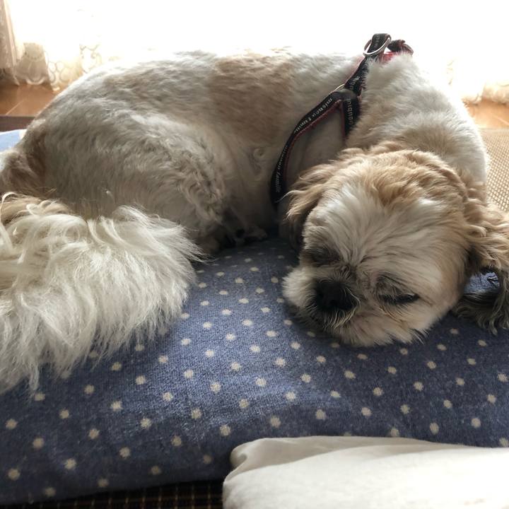 16301083 5c85 47b9 900a 488183c9d06a 1593121300388