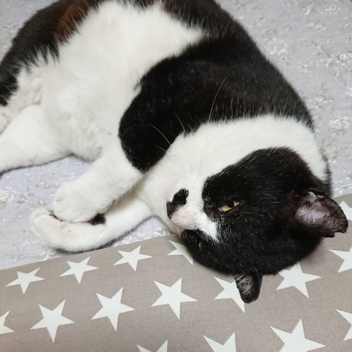 16301f73 d7d2 42a0 a5f5 fc2fc5ca7cf8 1621326603939