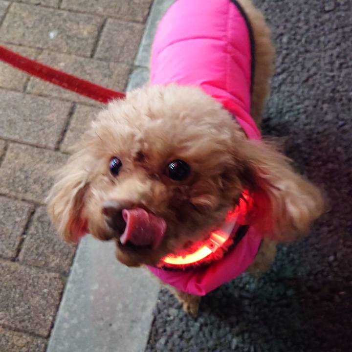 1630535b 82c7 4d8c 941c be020083c91e 1739531788713