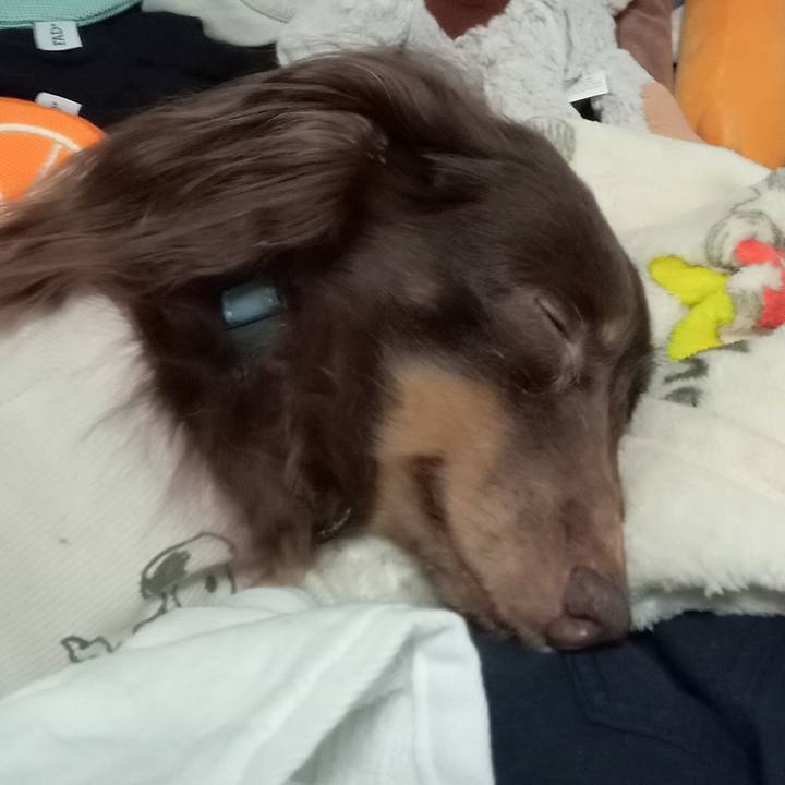 163067e6 8936 455f bd68 5e498d061f77 1771364320245