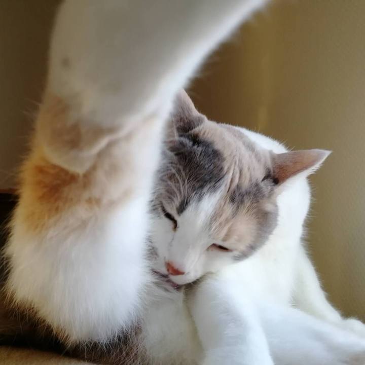 16306b5c 5a91 4b16 8e9d ea8a0fbff020 1579873151290