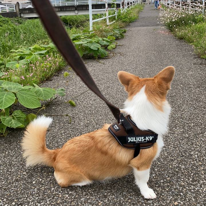 163075c6 5066 45b6 b7cb 254d75b6eb3e 1625184350137