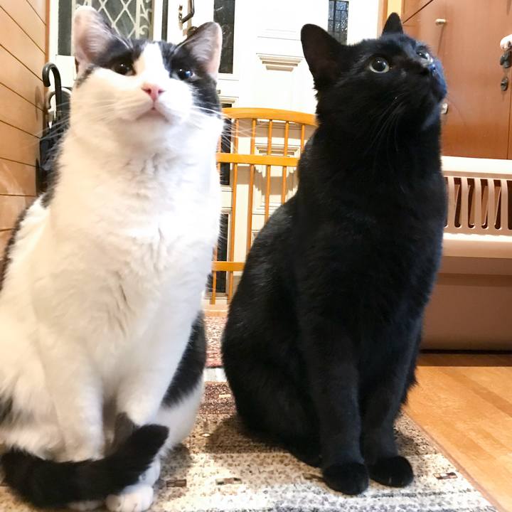 16307a6f a53d 4b73 be50 9b4867334f1e 1520172588191