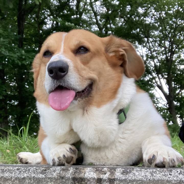 1630a9b9 00b9 468f 9930 2bc9ebf07f93 1749864038383