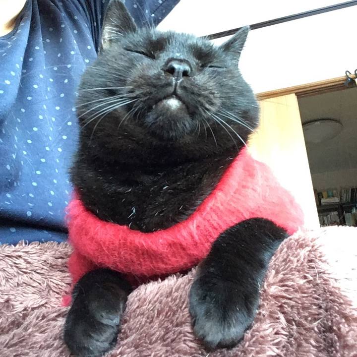 1630ab46 8e34 4043 8717 afafd356765d 1543930403933