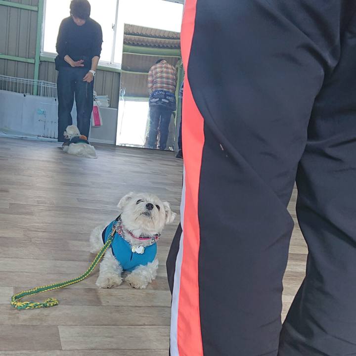 1630ac00 9937 434f a72b c8c22155b1d5 1580640978424