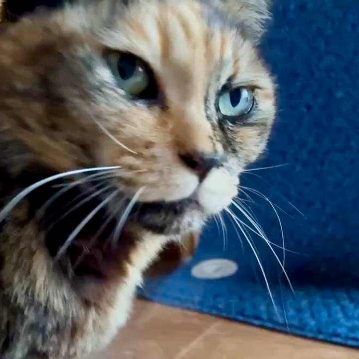 1630c3c4 d3eb 4932 932e 75397598b6e7 1774495554279