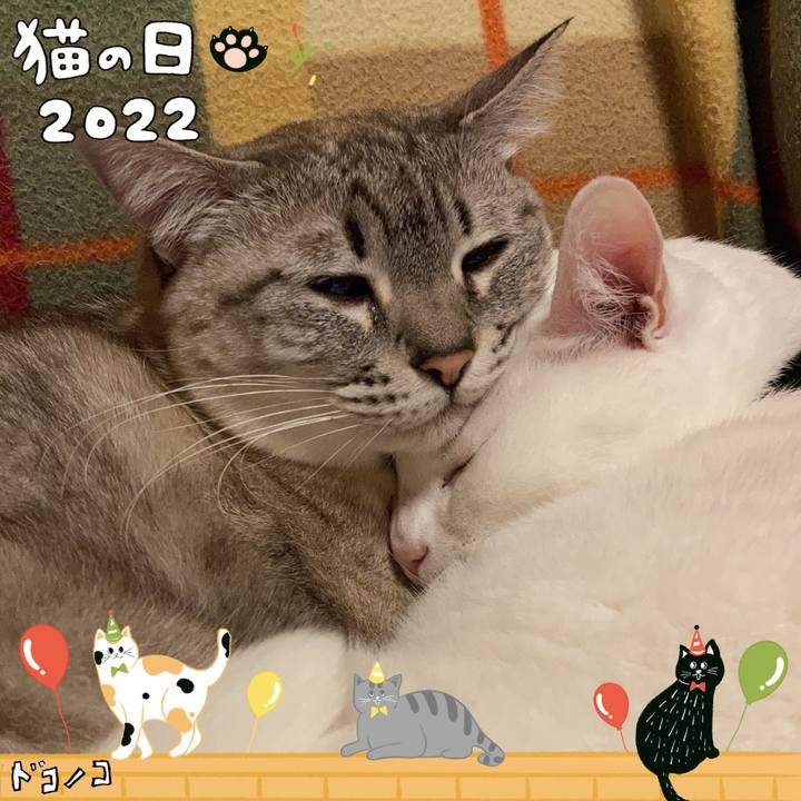 1630da82 34e9 4789 aeff e487d33abcf4 1645493851144