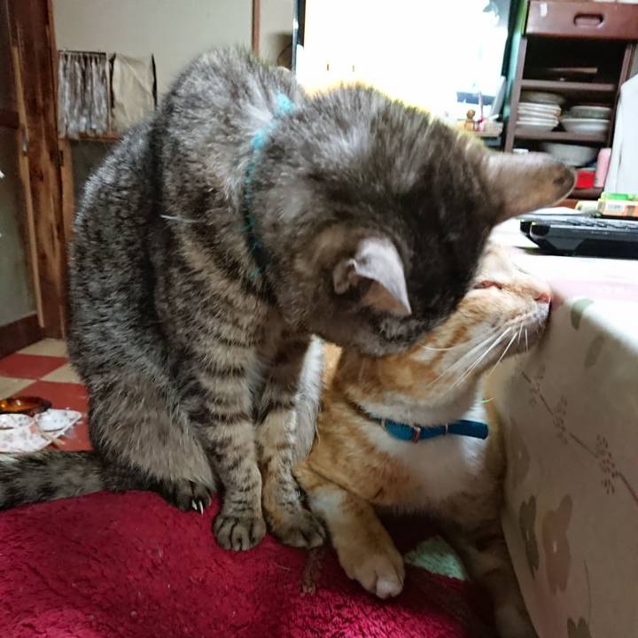 1630e8b9 9c08 49d2 8c9c ffd40fd02eeb 1555926748101