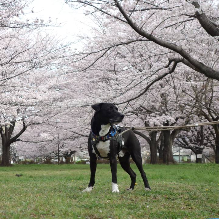 1630f71e 98d7 47a9 862a 0ccaa6dc16ef 1648688858134