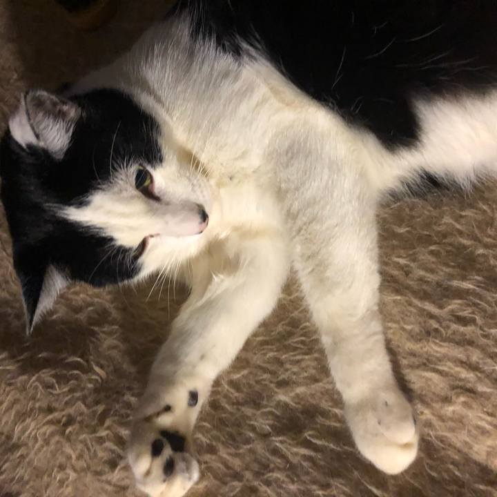 16310d24 5b56 4551 a4f9 81acf0582eed 1547972327152