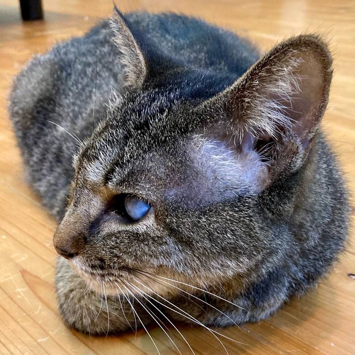 16313d62 fc42 495d 8842 bf6131964c20 1656421417550