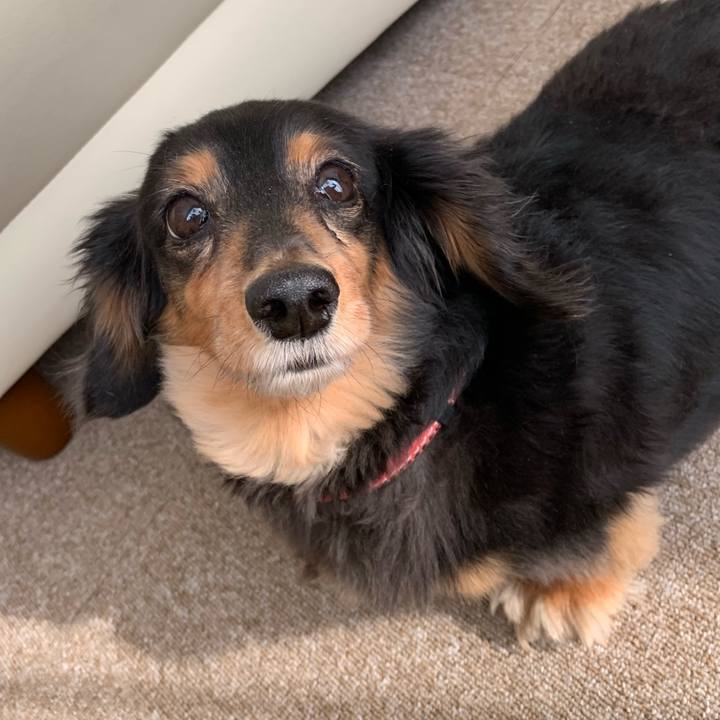 163173ec 0c4e 4110 b609 7f49ea280f55 1557527280786