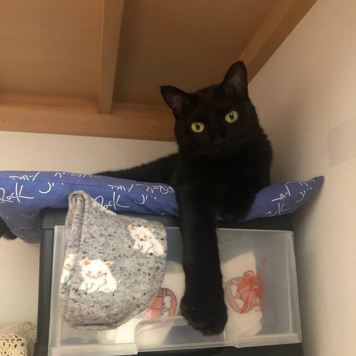 163182a9 f594 4fcc 9546 3e5548e0ce77 1589243990945