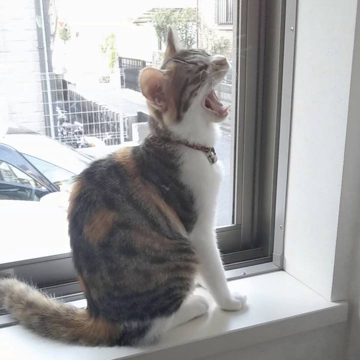 1631ba80 6a5d 4413 b58f 1e3895c2c3fa 1630362508233