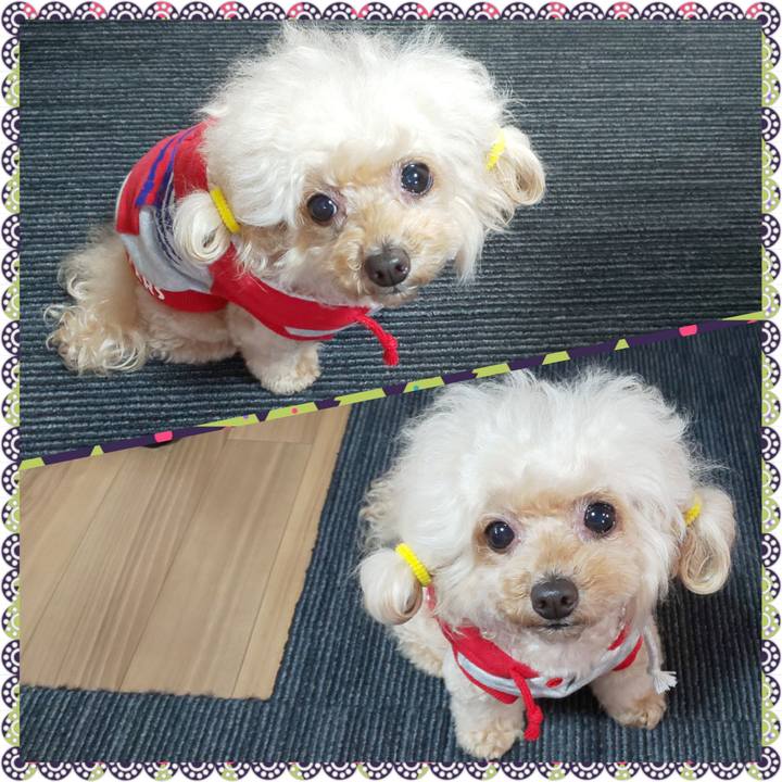 1631dca0 bab5 45b4 8af7 b5449a692d62 1638335761520