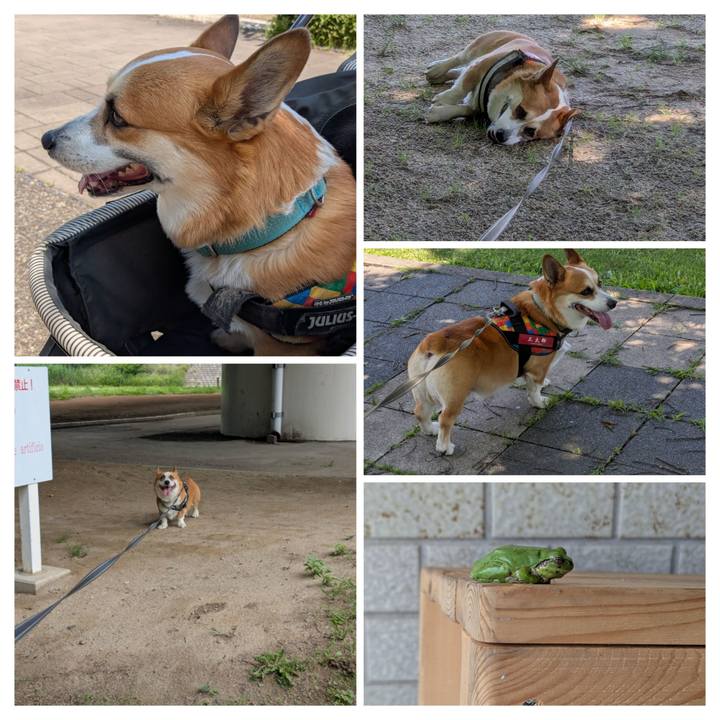 1631e6c7 e758 4027 aa4c 7482fa05a60e 1748682648127