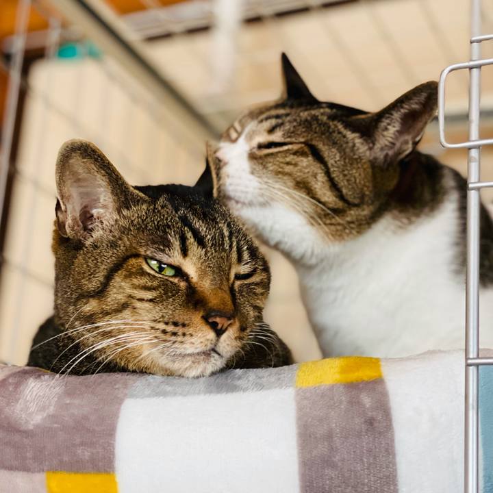 1631fa8d d79d 4e1b 9fdb 0b46fb753f1b 1613526689714