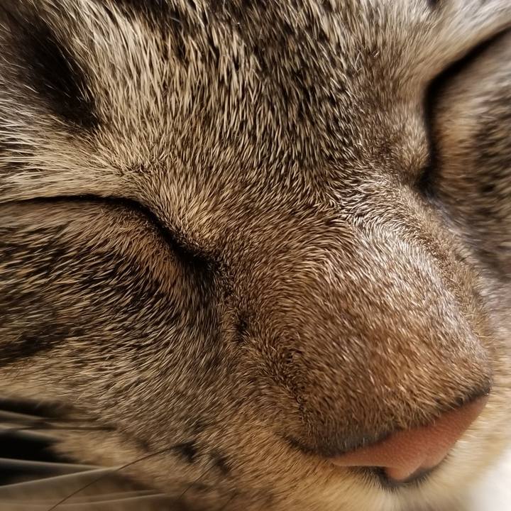 16322411 a745 48a4 a86d 77f52cce4d11 1689207172959