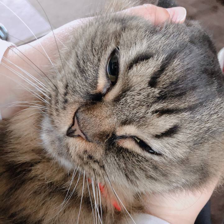 16326176 eb0a 4d9c 8769 dc489010ce26 1553085394266