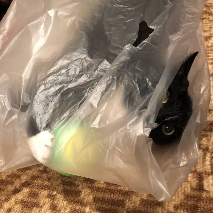 16326266 8d83 4ba4 936e dbe9bfeb22cb 1561412705008