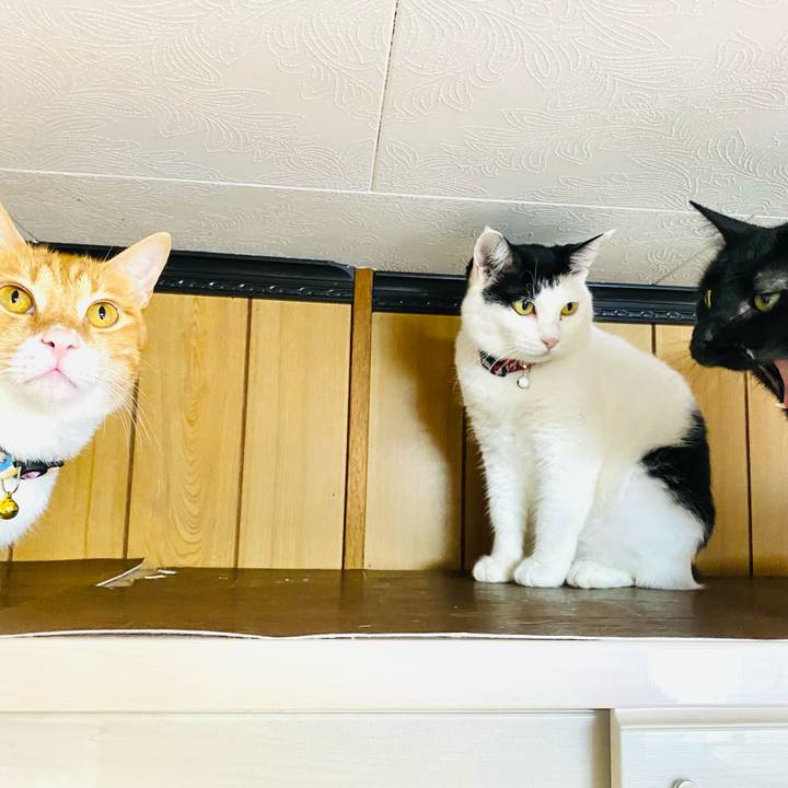 16327958 eba8 4e7f a99e f32892f7012d 1664063656819