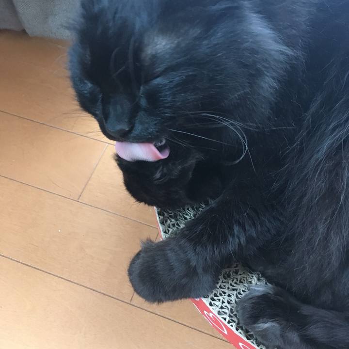 16329fe4 4c2d 42f8 93f1 e3a33ef641e6 1557991366565