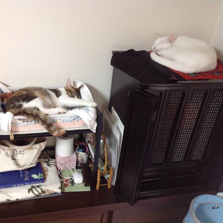 1632a1be 66c6 4dd1 b4d1 22e3845aa73f 1642911776451