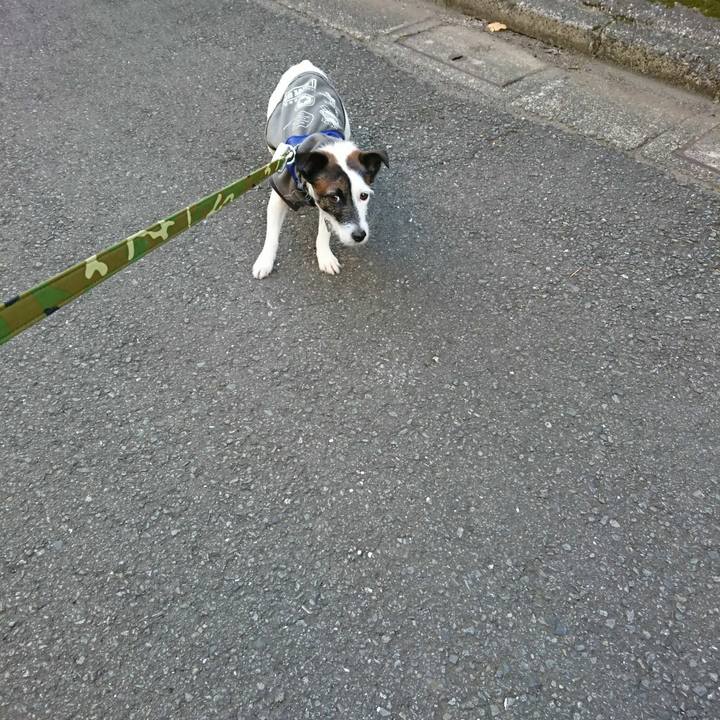 1632b2d8 65db 4415 ba5e 8567ff6c1311 1510524515124