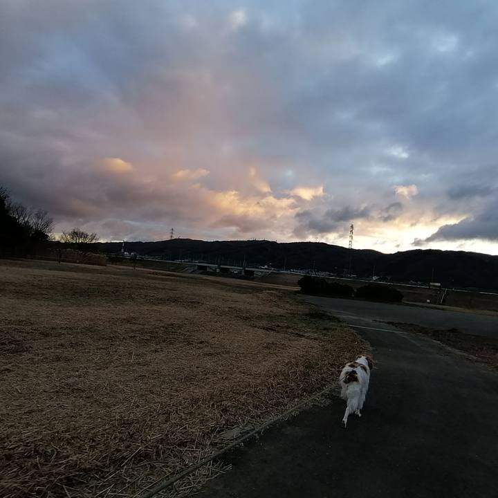 1632c780 f52d 4e7a 861f 617d08aea350 1580429538185