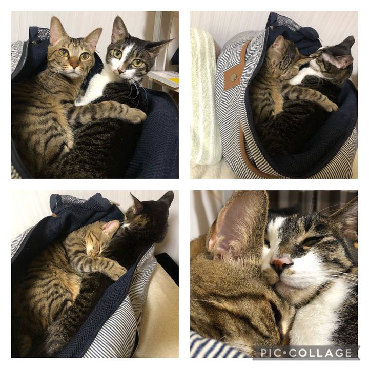 1632d562 7379 43d5 bd42 3b1b65d6e95e 1643320671680