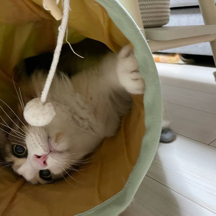 1632efe4 2961 4b83 ba90 78b3188cc1fa 1668628070147