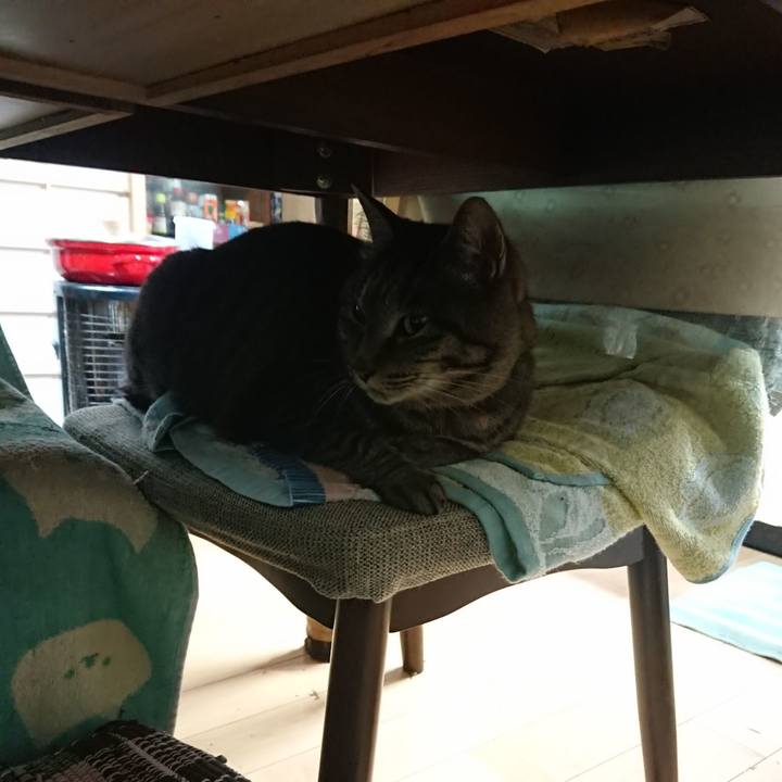 1632f005 46b4 4f51 88a6 466a74d8f1c8 1655154114004