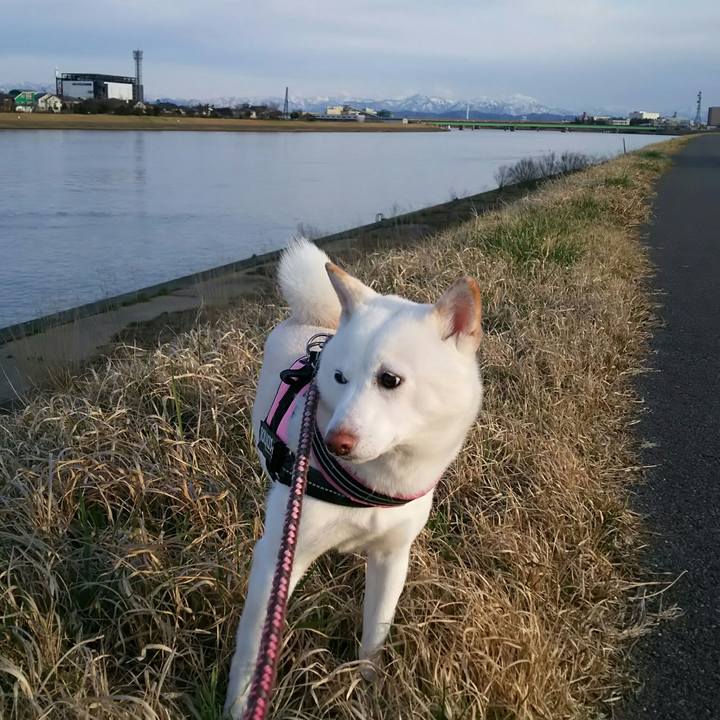 16330817 8665 4a6b 8aa0 01115b7e3fc4 1521882196054